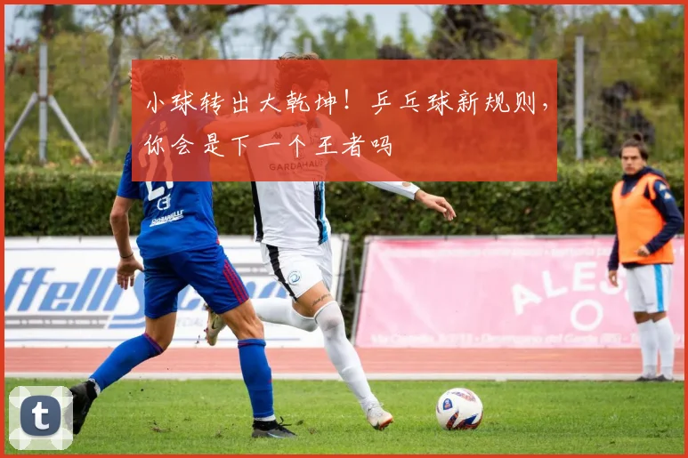 小球转出大乾坤!乒乓球新规则,你会是下一个王者吗