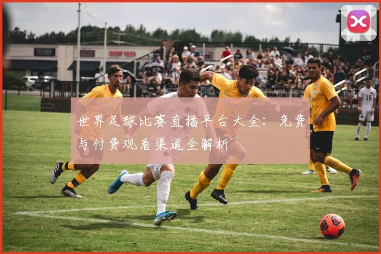 世界足球比赛直播平台大全：免费与付费观看渠道全解析